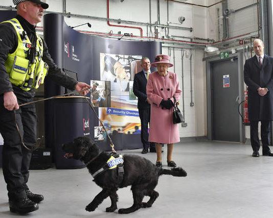 
			
				                                Britain’s Queen Elizabeth II and Prince William, right, watch a demonstration of a Forensic Explosives Investigation with explosives detection dog named ‘Max’ during a visit to the Defence Science and Technology Laboratory (DSTL) at Porton Down, England on Thursday to view the Energetics Enclosure and display of weaponry and tactics used in counter intelligence.
                                 Ben Stansall | Pool via AP

			
		
