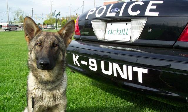 Police Officer Pitches Idea Of K 9 Unit For Abington Area