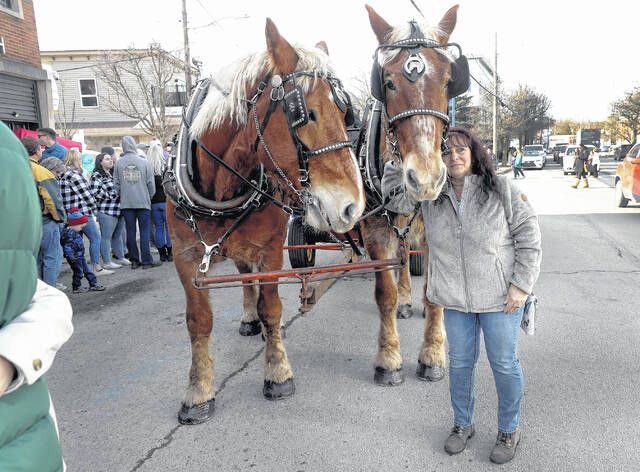 <p>Paula Wasmanski, of Plains Township, poses with the horses that were used for the wagon for rides on State Street during the Clarks Summit Festival of Ice on Saturday, Jan. 28.</p>
                                 <p>Fred Adams | For Abington Journal</p>