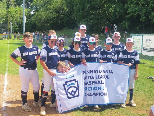 Pittston Area bounces back to win Section 5 Little League major